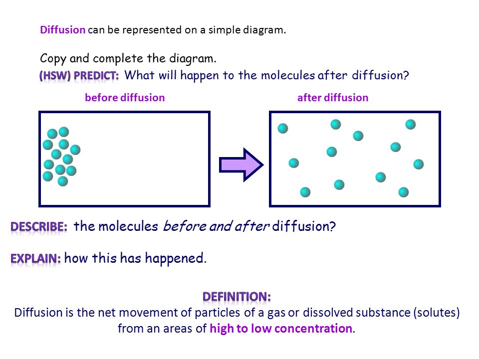 Describe two variables that affect the rate of diffusion